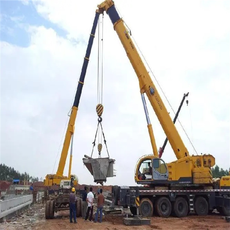 虎门镇小型吊机出租电话|厂房设备吊装方案|24小时服务覆盖