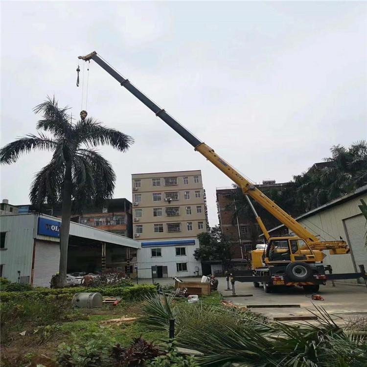 虎门镇树木移栽装卸